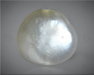 Natural Pearl (Basra) Certified  1.60 Cts. { 0011(50) }